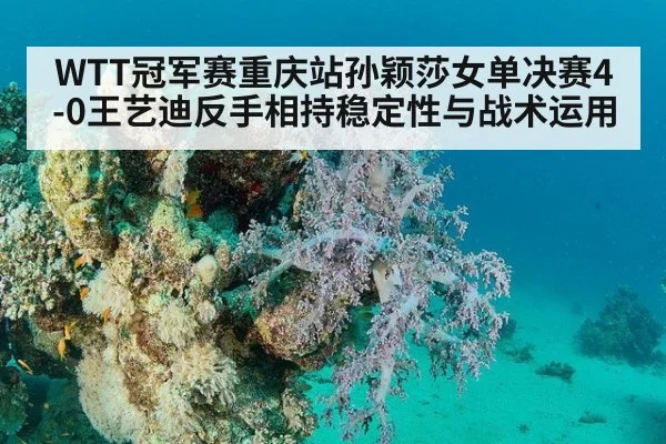 WTT冠军赛重庆站孙颖莎女单决赛4-0王艺迪反手相持稳定性与战术运用